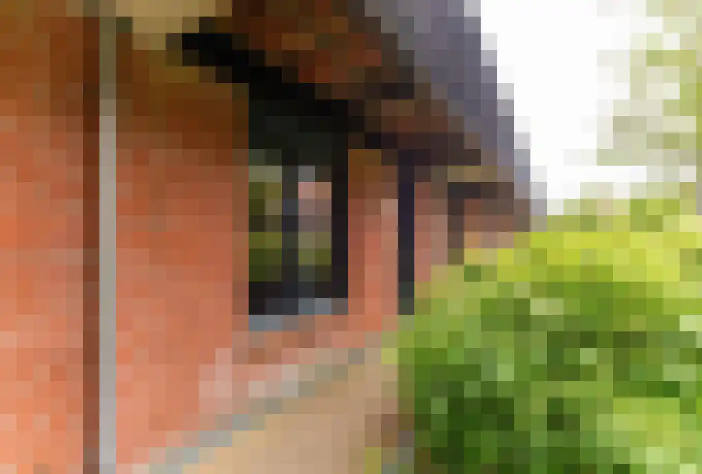 Molenbrink 25 Amerongen thumbnail 25
