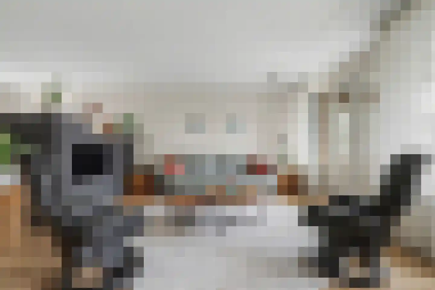 Molenbrink 26 Monster thumbnail 5