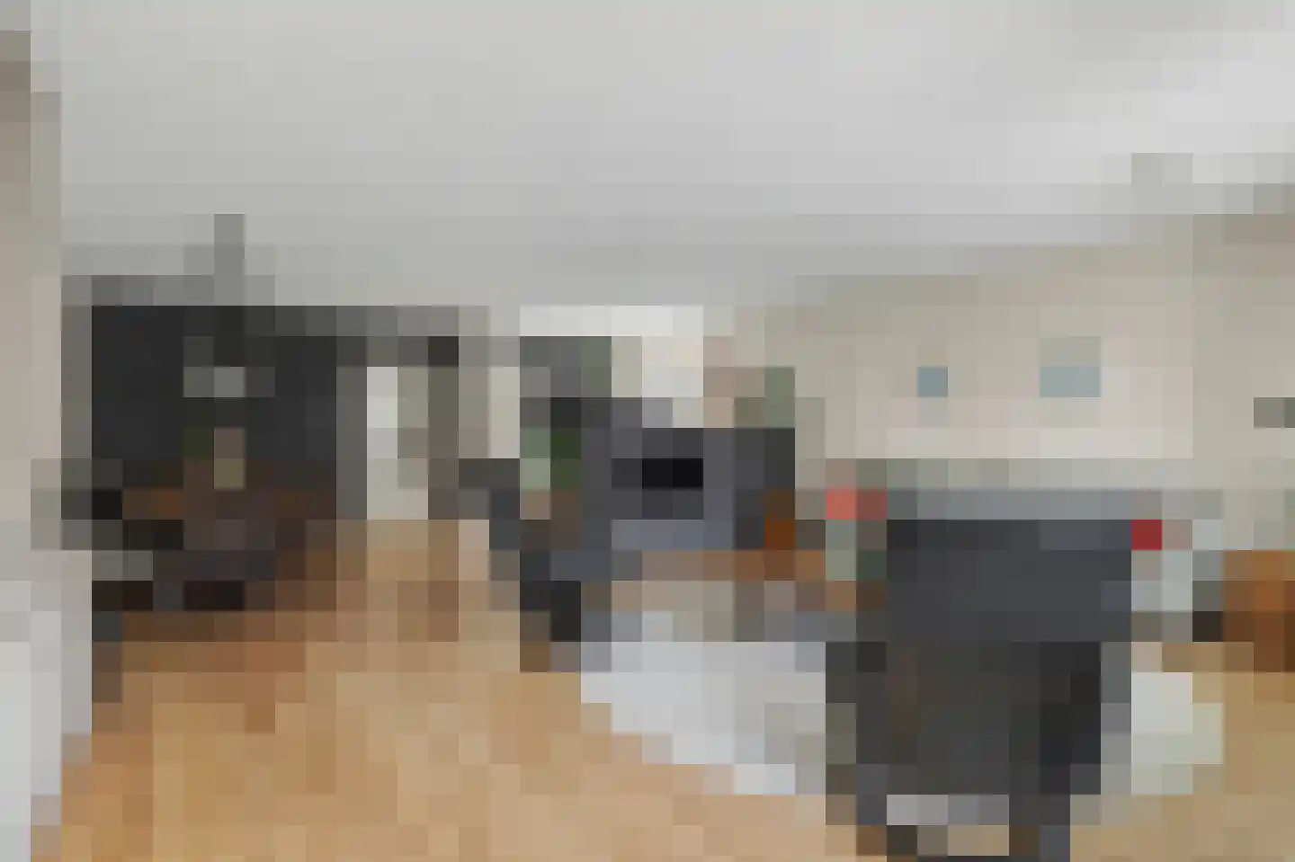 Molenbrink 26 Monster thumbnail 6