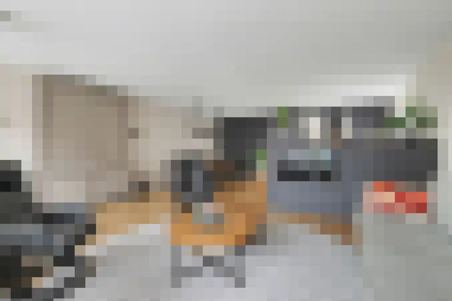 Molenbrink 26 Monster thumbnail 9