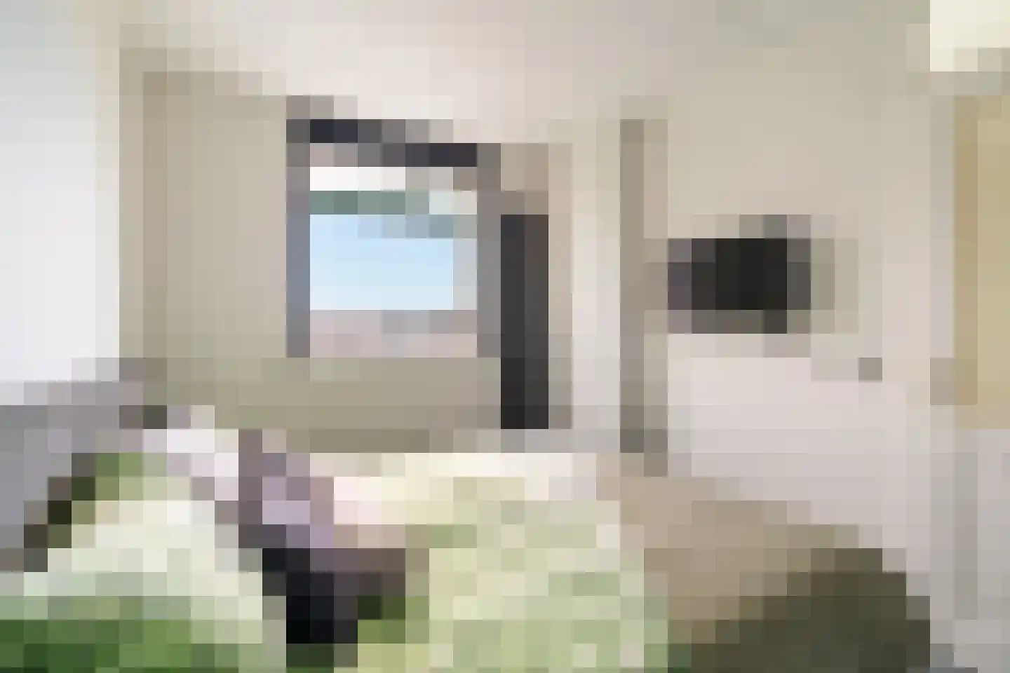 Molenbrink 28 Monster thumbnail 25