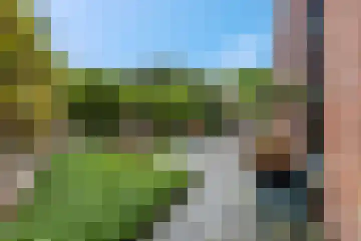 Molenbrink 3 Amerongen thumbnail 21