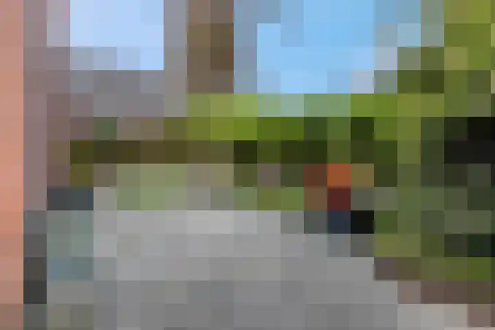 Molenbrink 3 Amerongen thumbnail 22