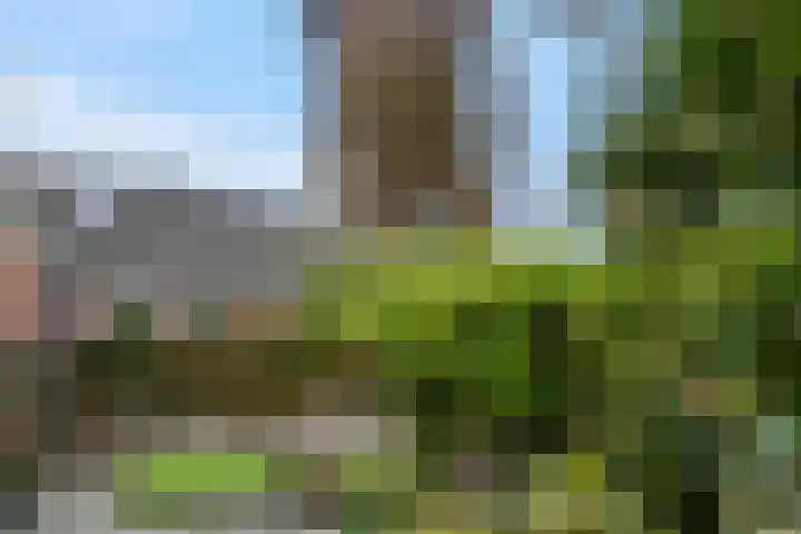 Molenbrink 3 Amerongen thumbnail 23