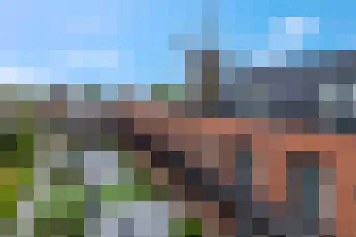 Molenbrink 3 Amerongen thumbnail 26
