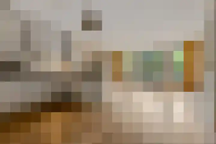 Molenbrink 3 Amerongen thumbnail 7