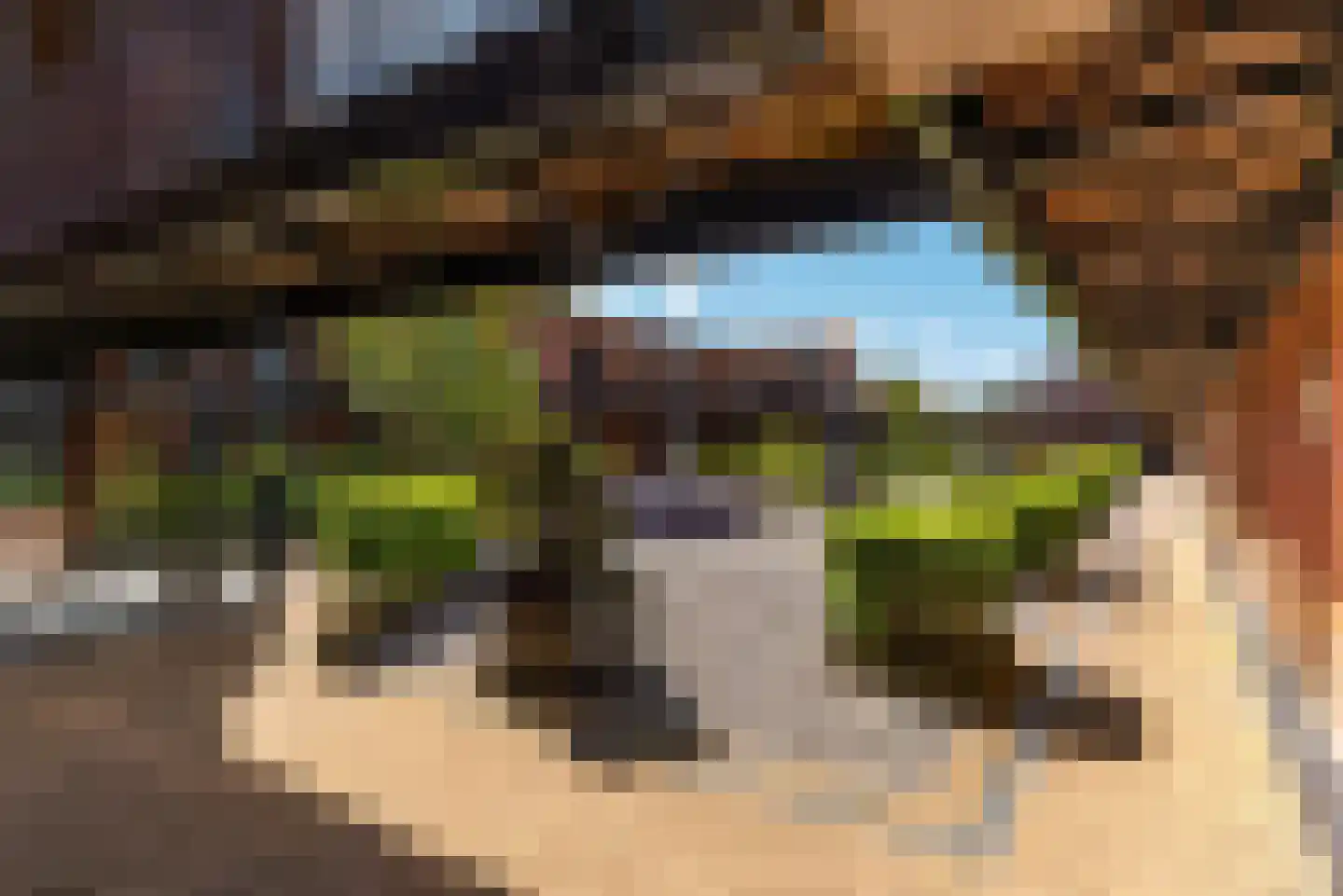 Molenbrink 35 Amerongen thumbnail 27