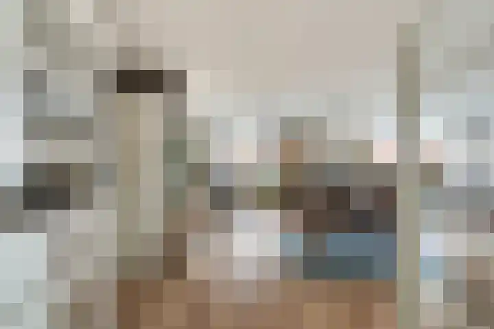 Molenbrink 4 Monster thumbnail 11