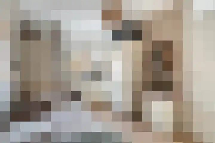 Molenbrink 4 Monster thumbnail 23