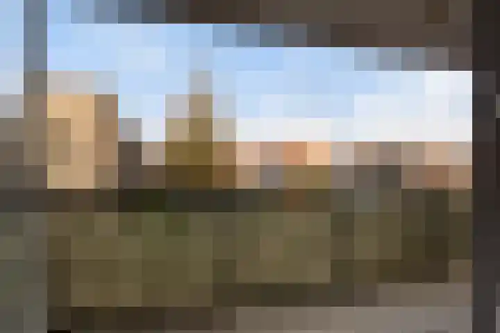 Molenbrink 4 Monster thumbnail 28