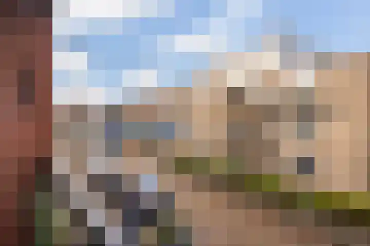 Molenbrink 4 Monster thumbnail 31