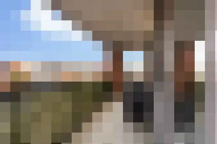 Molenbrink 4 Monster thumbnail 5