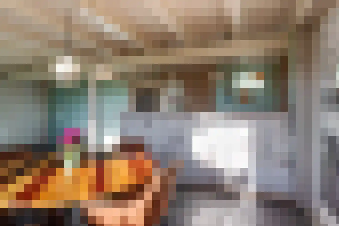 Molenbuurt 1 a Wieringerwaard thumbnail 25