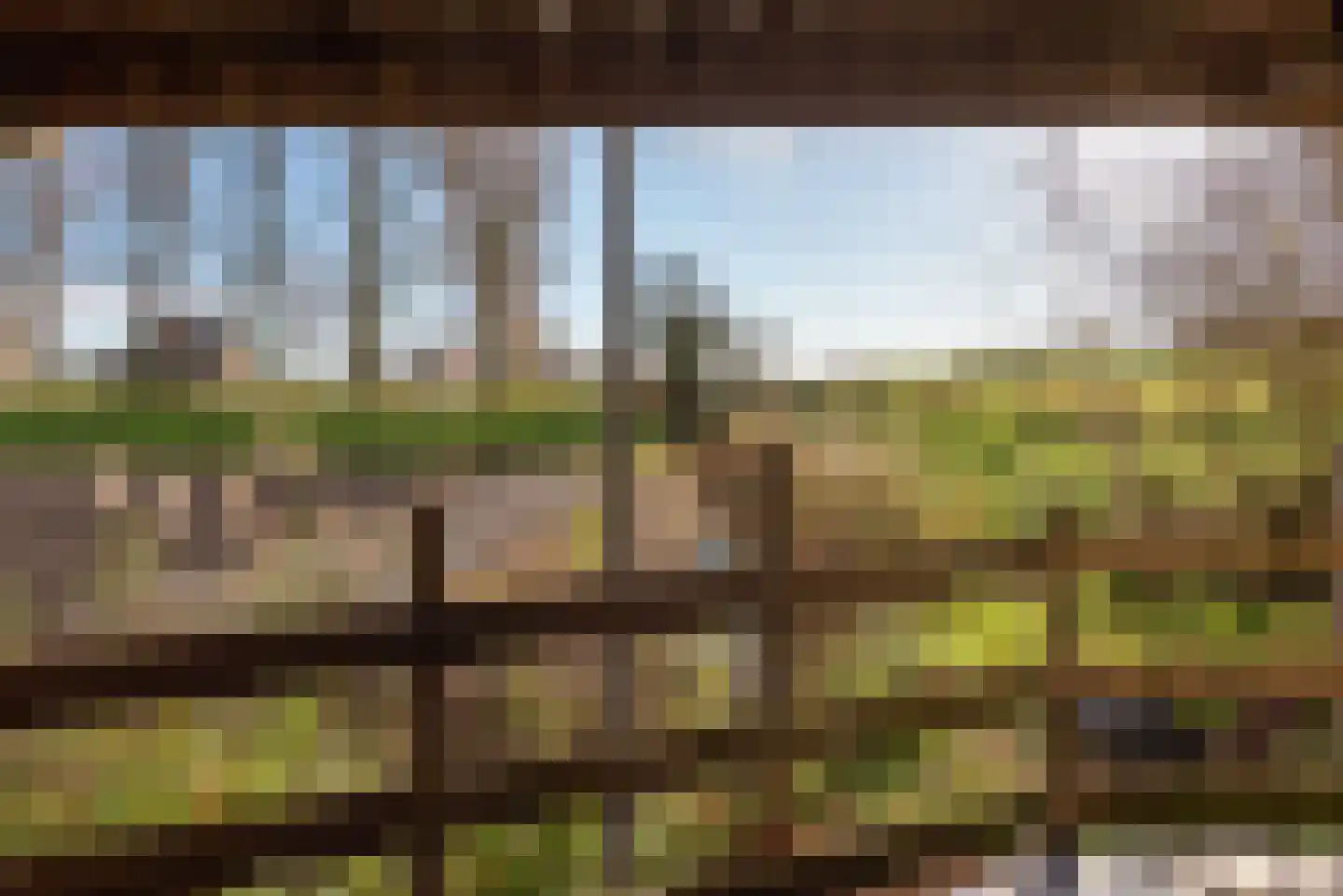 Molenbuurt 1 a Wieringerwaard thumbnail 56