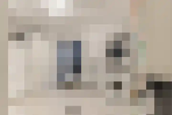 Molenbuurt 18 Akersloot thumbnail 31