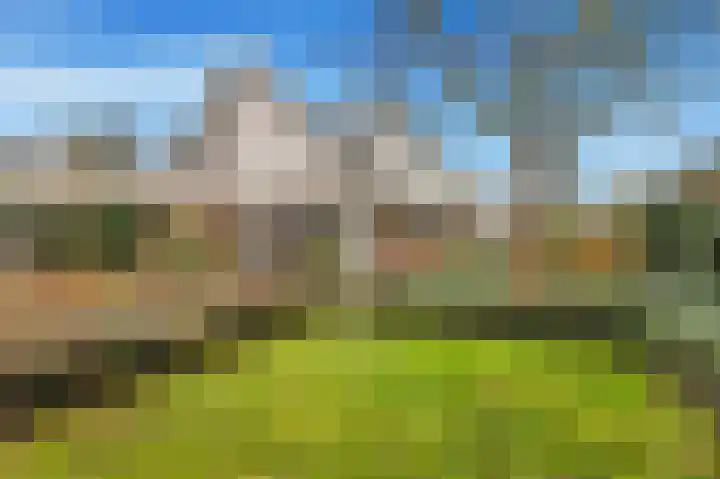 Molenbuurt 18 Akersloot thumbnail 4