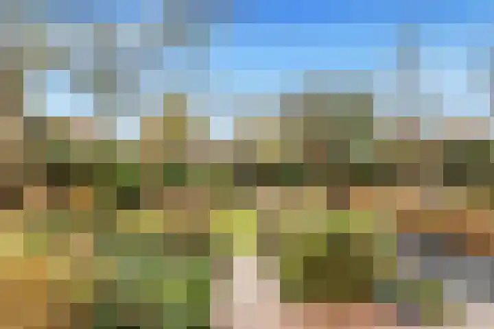 Molenbuurt 18 Akersloot thumbnail 55