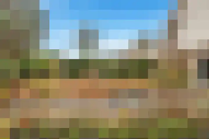 Molenbuurt 18 Akersloot thumbnail 58