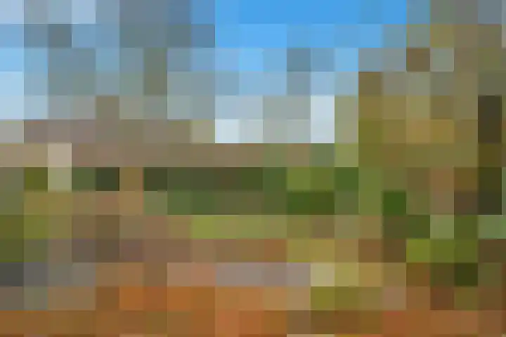 Molenbuurt 18 Akersloot thumbnail 59