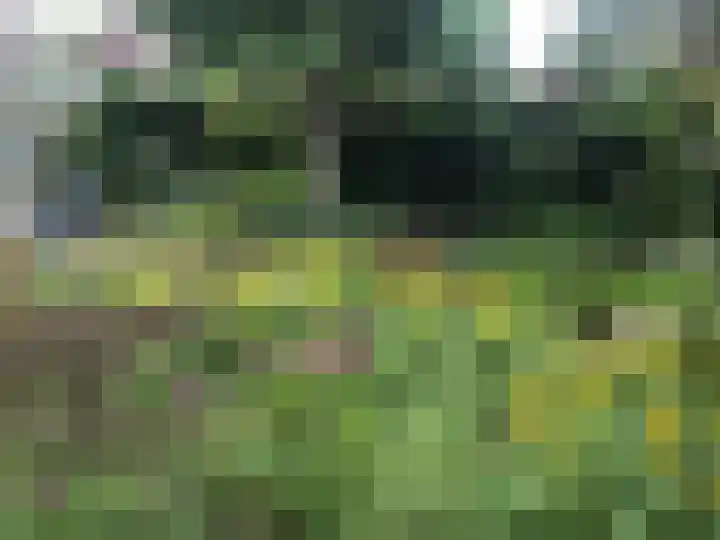 Molenbuurt 18 Akersloot thumbnail 61