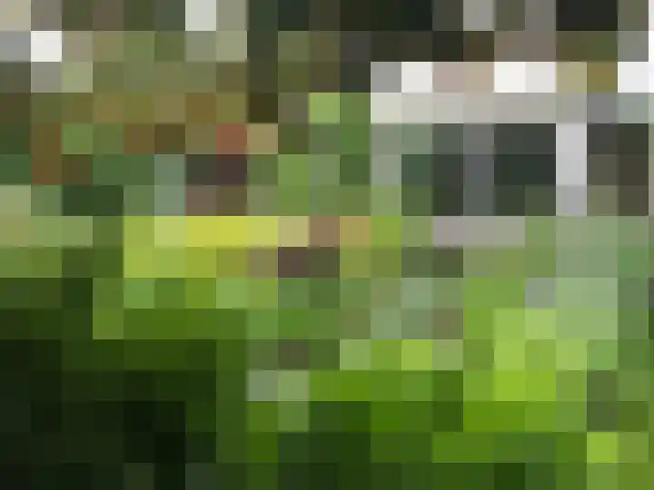 Molenbuurt 18 Akersloot thumbnail 62