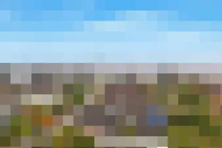 Molenbuurt 18 Akersloot thumbnail 69