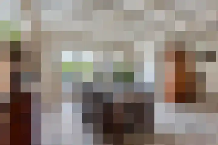 Molenbuurt 21 Akersloot thumbnail 10