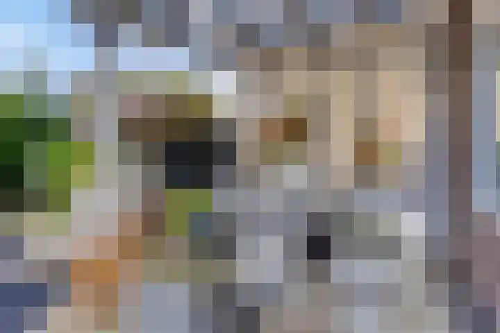 Molenbuurt 21 Akersloot thumbnail 19