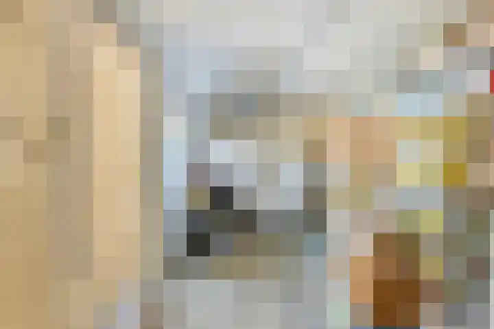 Molenbuurt 21 Akersloot thumbnail 21