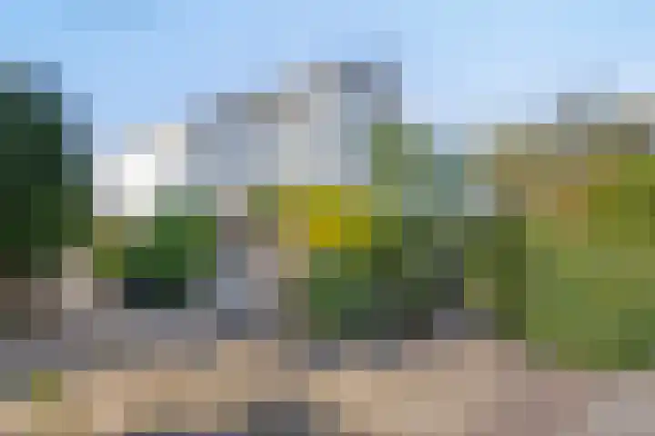Molenbuurt 21 Akersloot thumbnail 33