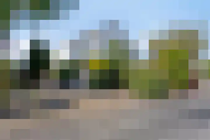 Molenbuurt 21 Akersloot thumbnail 36