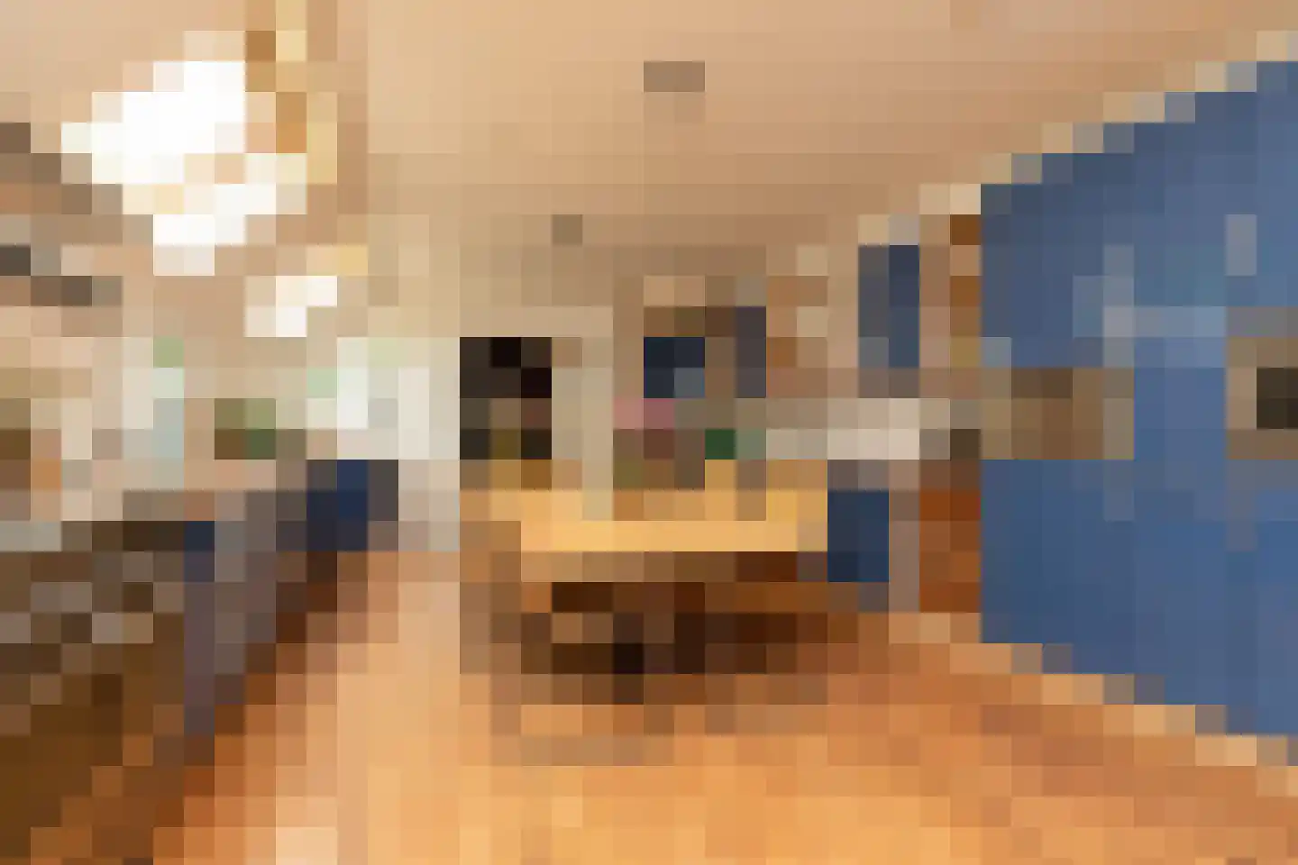 Molenbuurt 4 Koudum thumbnail 17