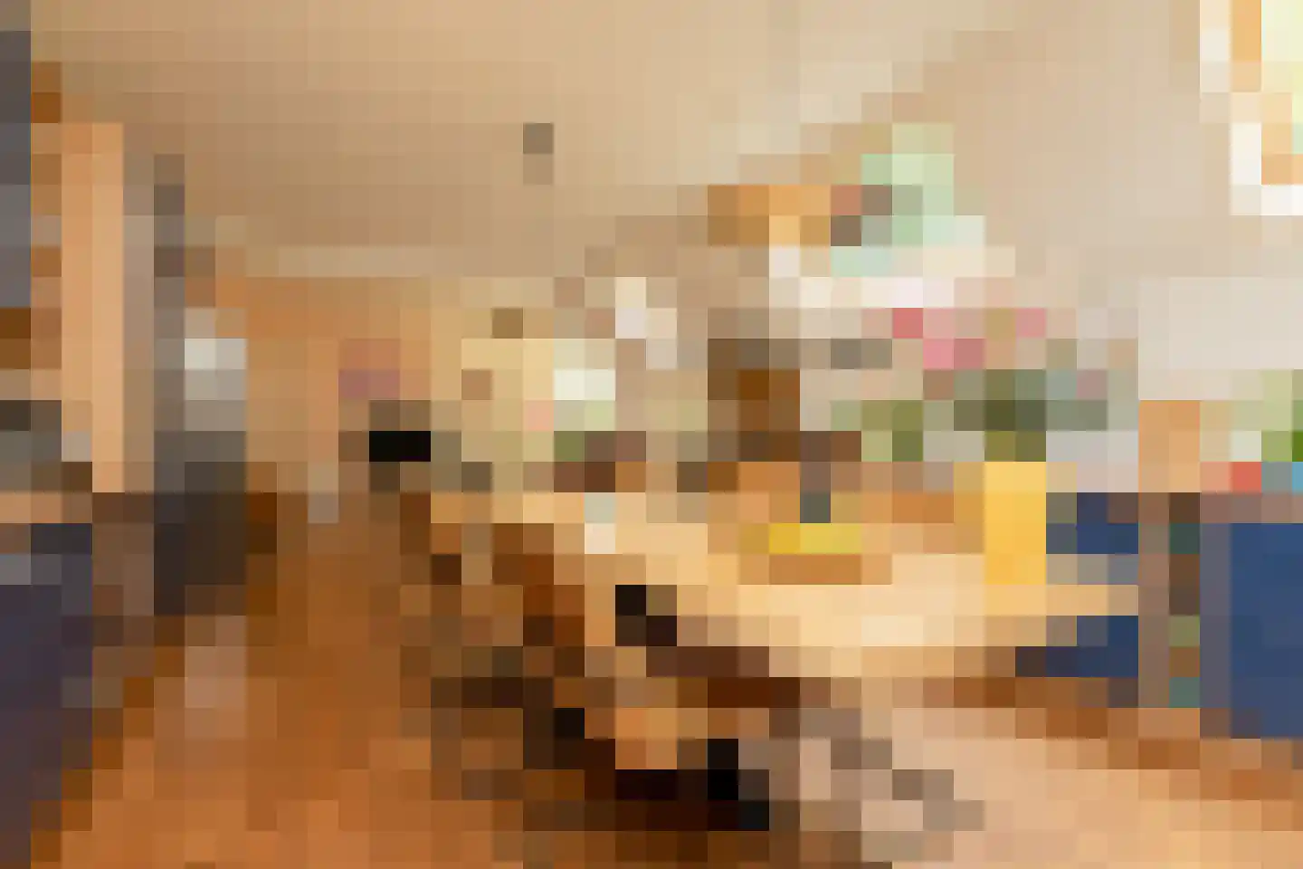 Molenbuurt 4 Koudum thumbnail 18