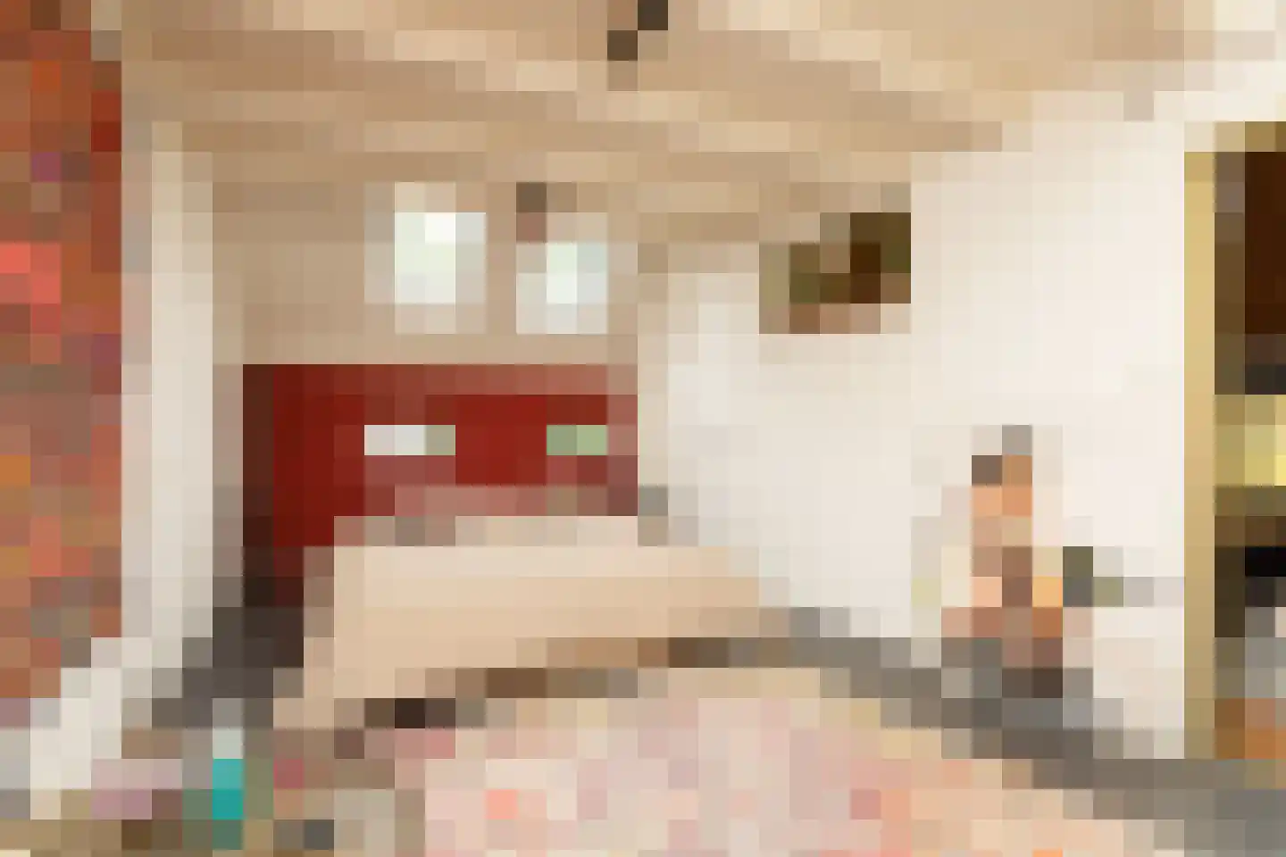 Molenbuurt 4 Koudum thumbnail 38