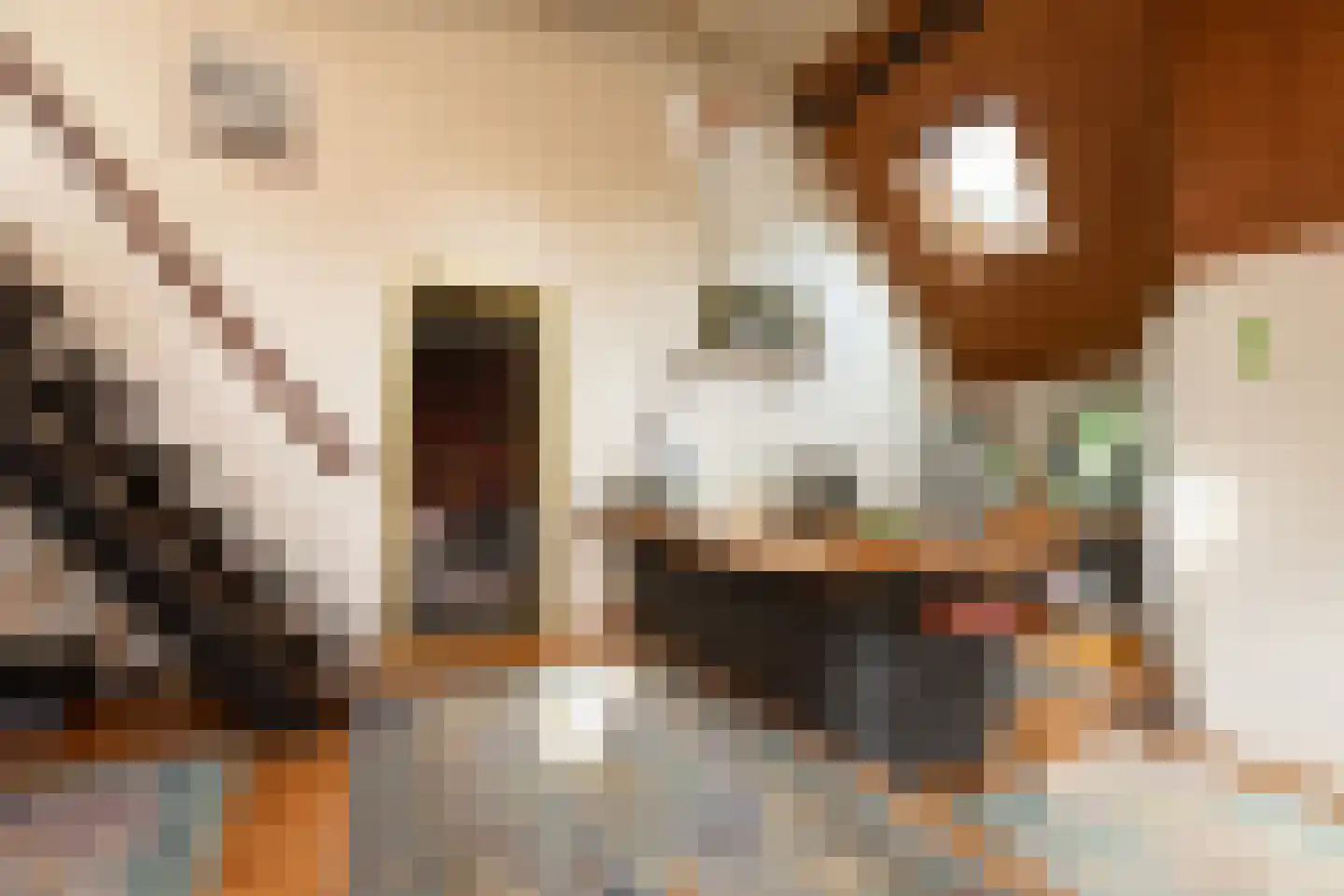 Molenbuurt 4 Koudum thumbnail 40