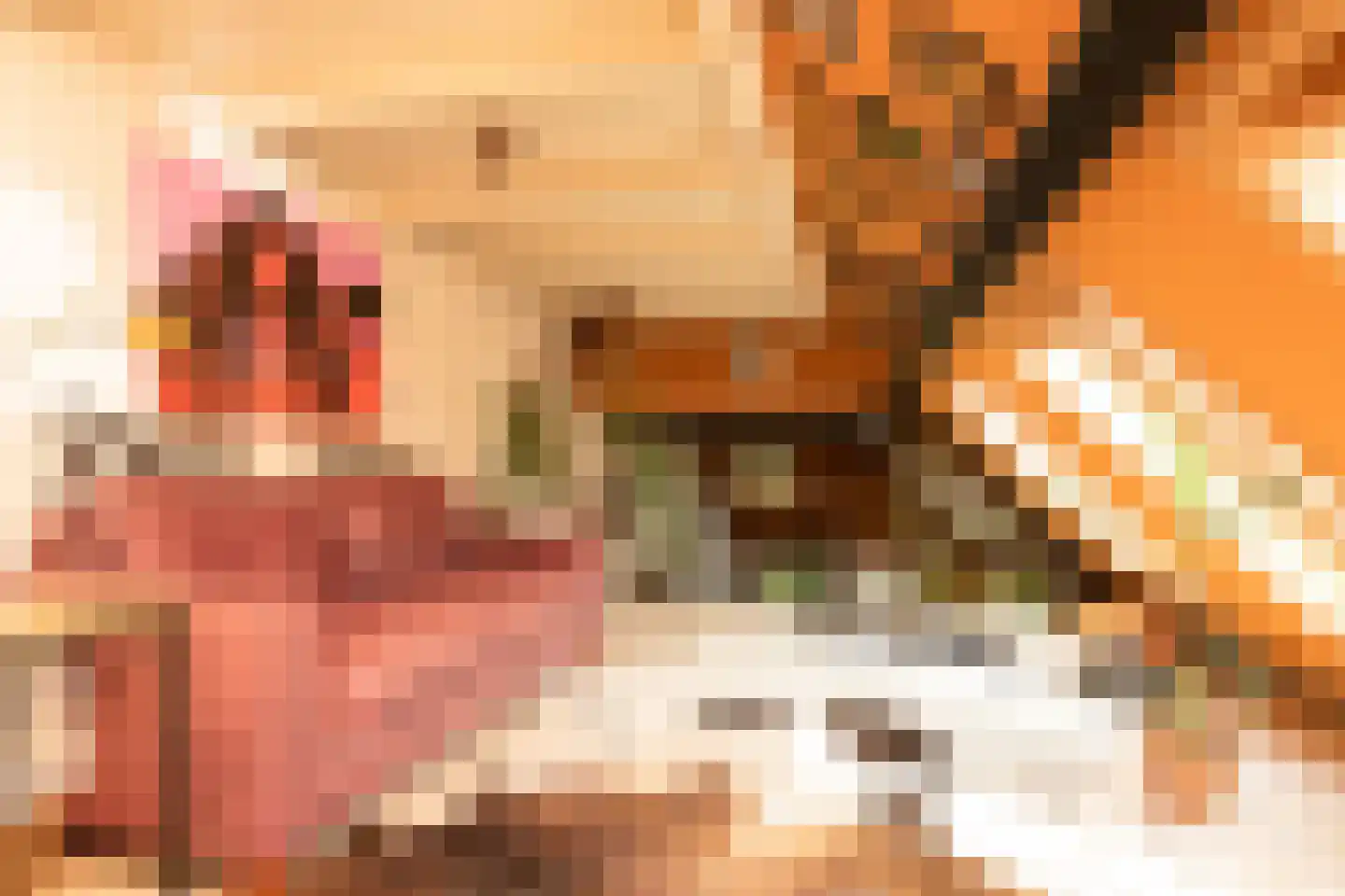 Molenbuurt 4 Koudum thumbnail 48