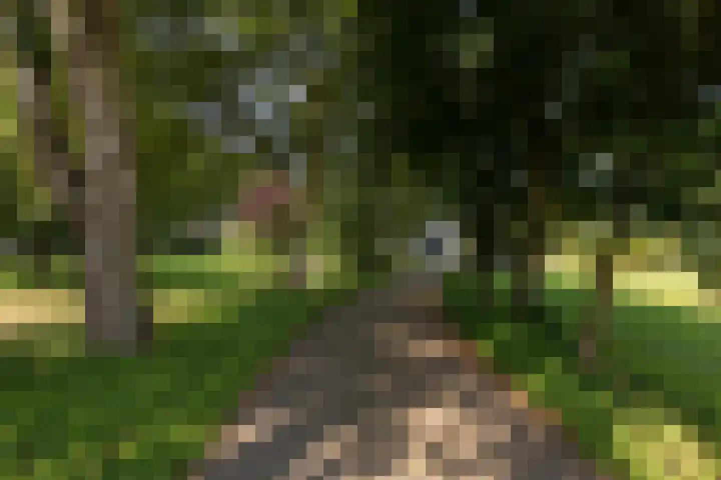 Molenbuurt 4 Koudum thumbnail 5