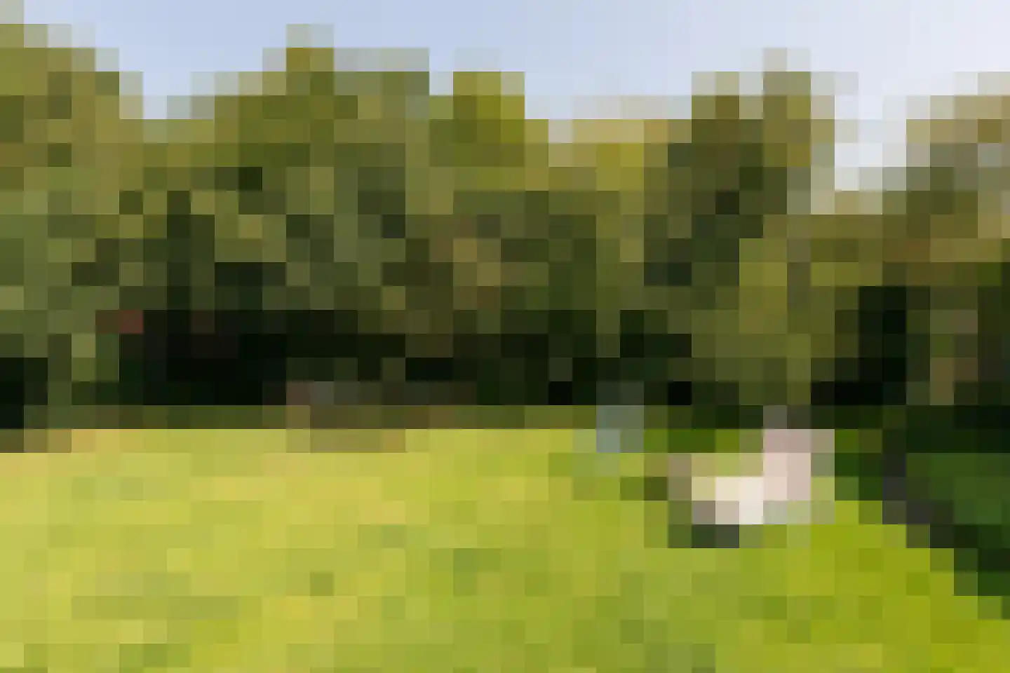 Molenbuurt 4 Koudum thumbnail 52