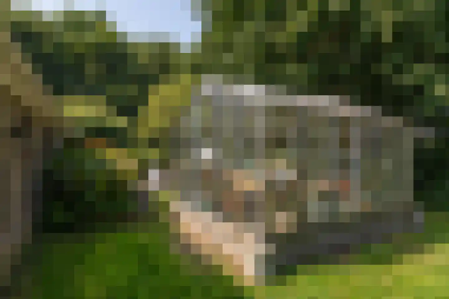 Molenbuurt 4 Koudum thumbnail 54