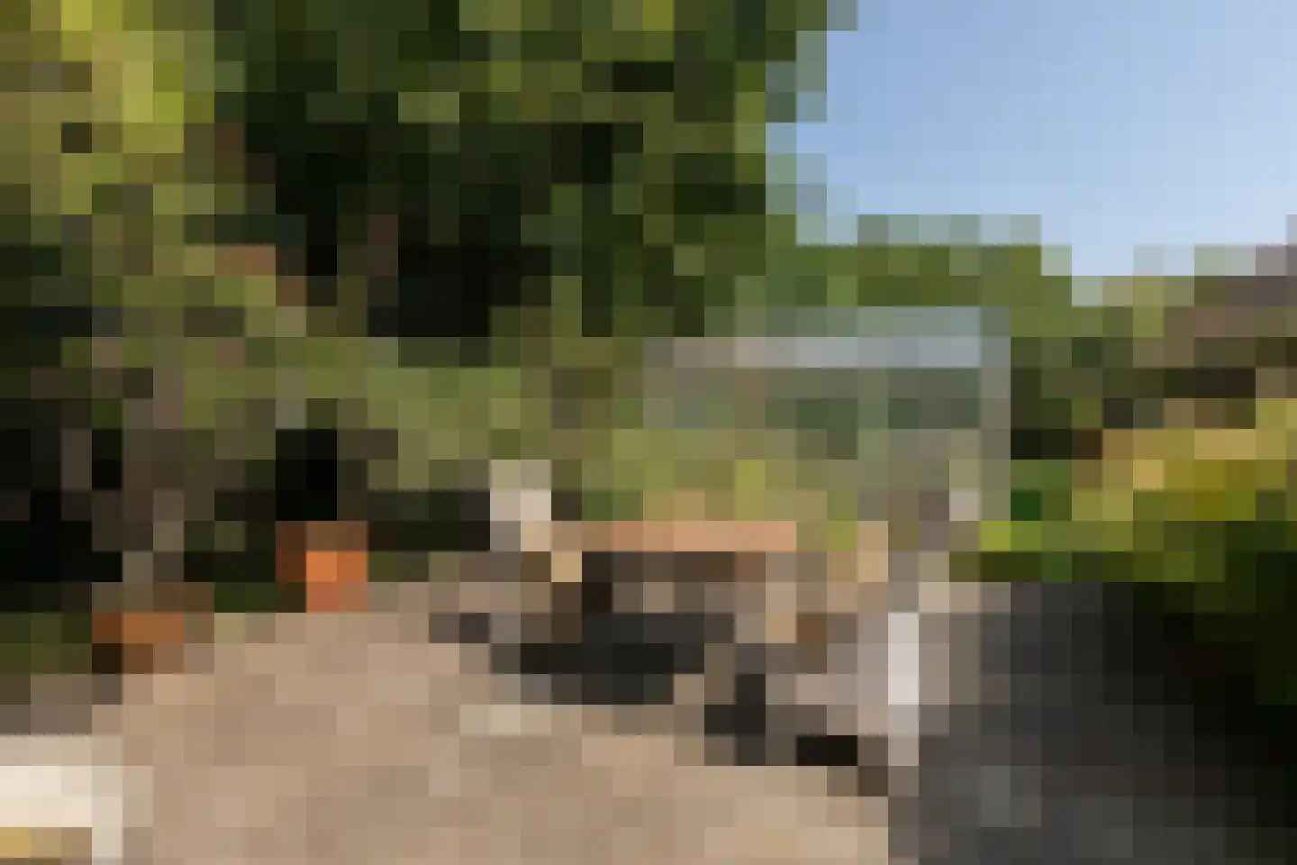 Molenbuurt 4 Koudum thumbnail 55