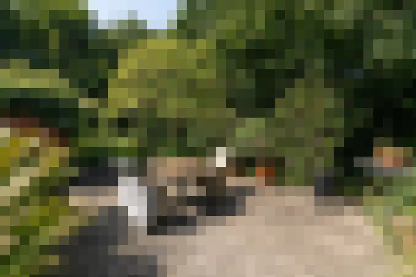 Molenbuurt 4 Koudum thumbnail 57