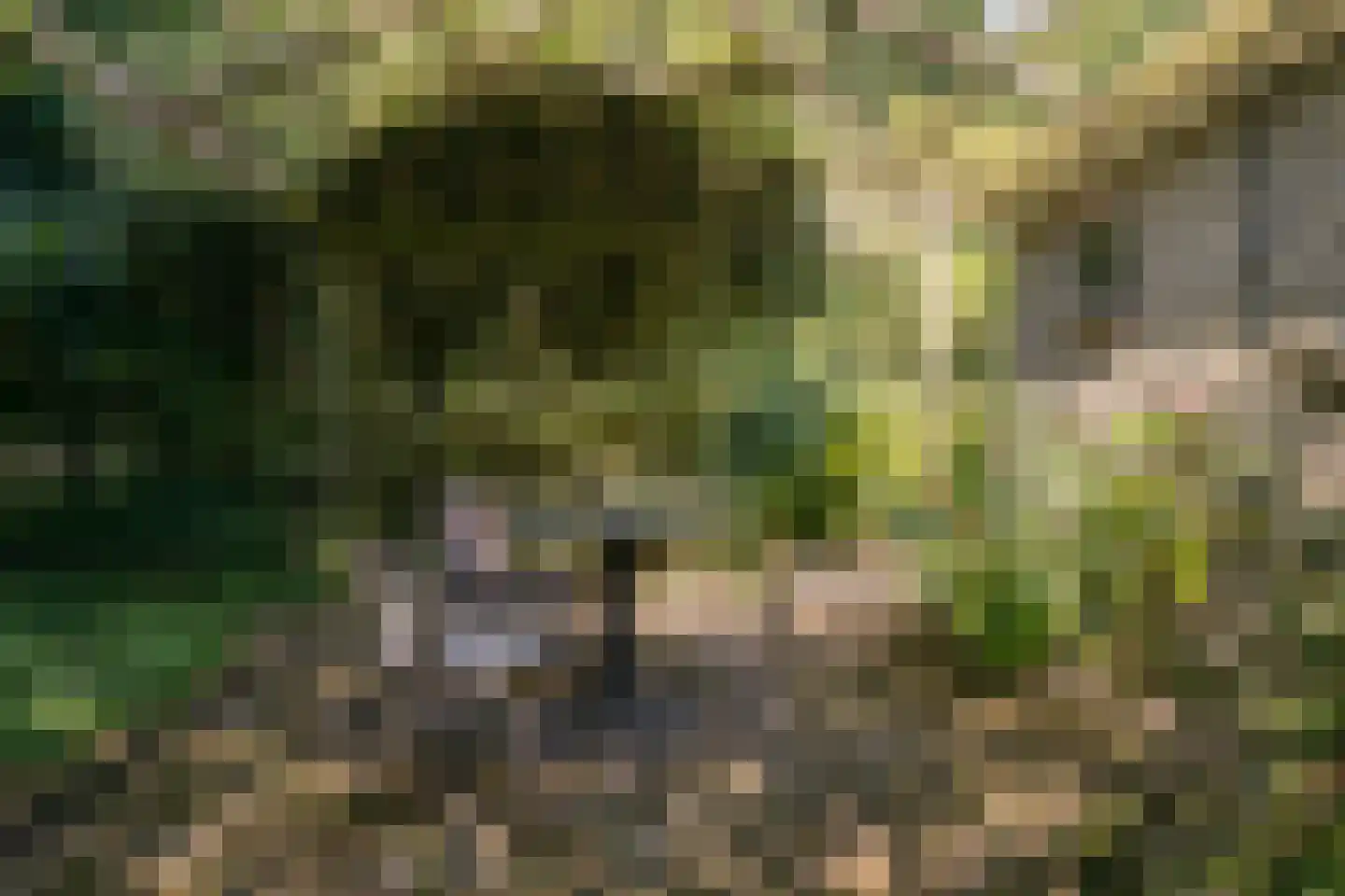 Molenbuurt 4 Koudum thumbnail 58