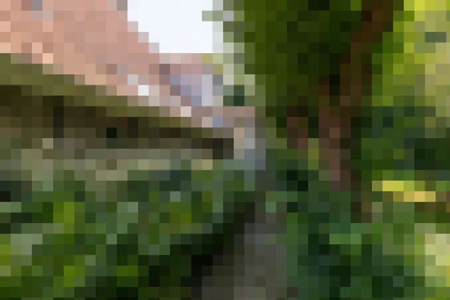 Molenbuurt 4 Koudum thumbnail 59