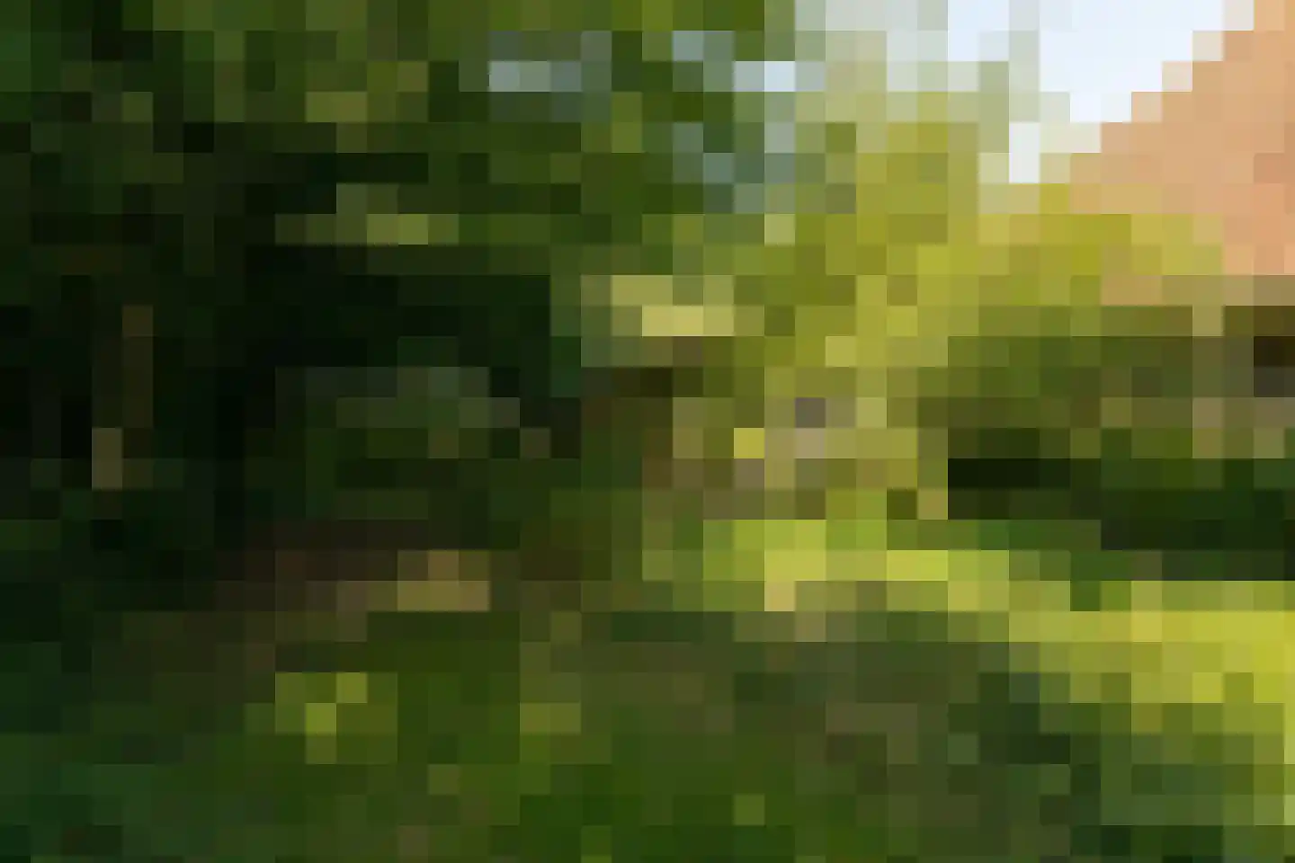 Molenbuurt 4 Koudum thumbnail 60