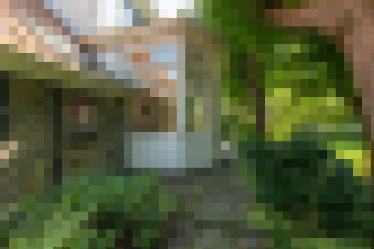 Molenbuurt 4 Koudum thumbnail 62