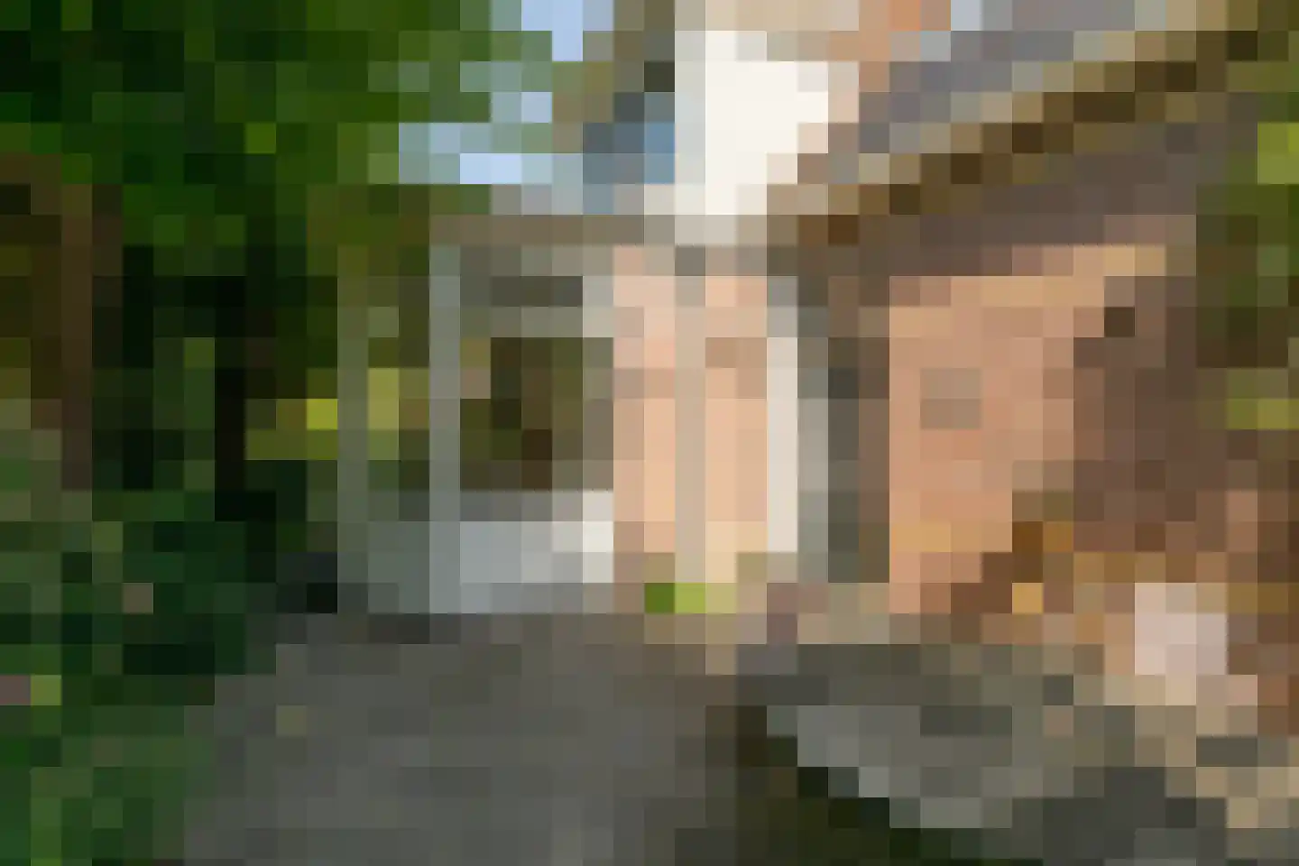 Molenbuurt 4 Koudum thumbnail 63