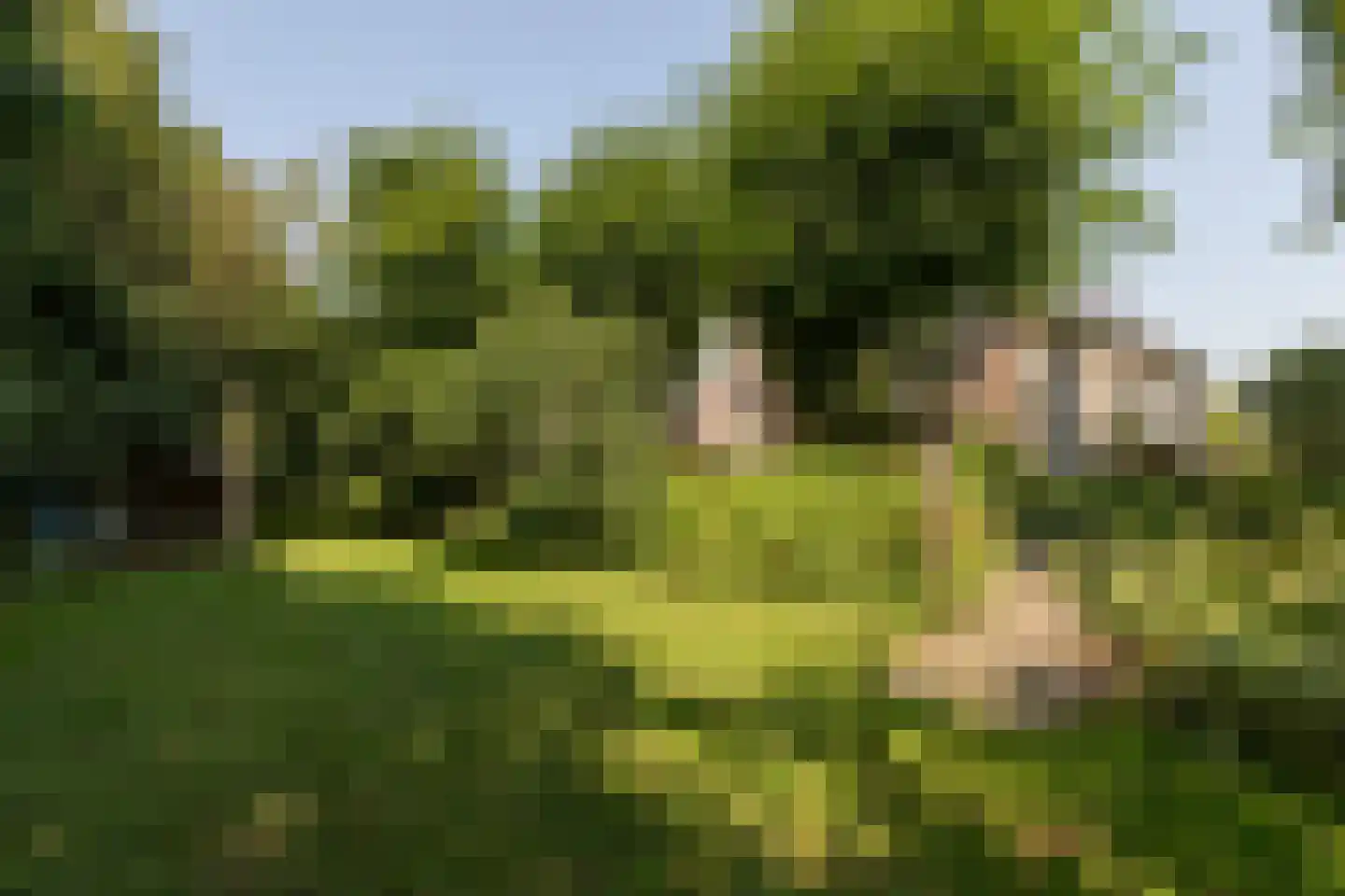 Molenbuurt 4 Koudum thumbnail 65