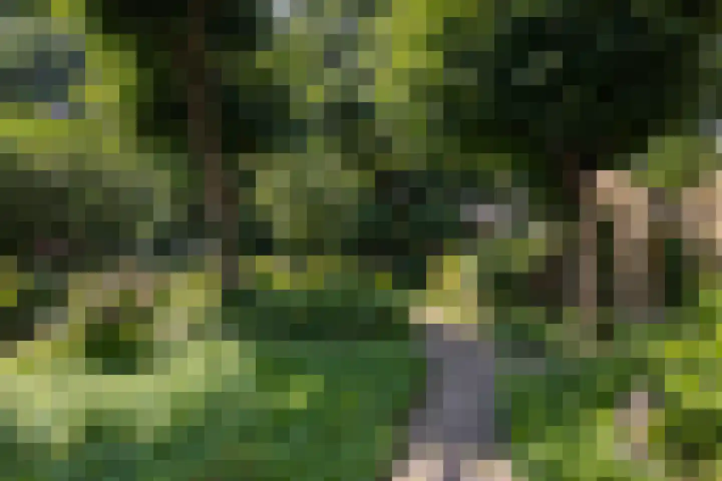 Molenbuurt 4 Koudum thumbnail 66
