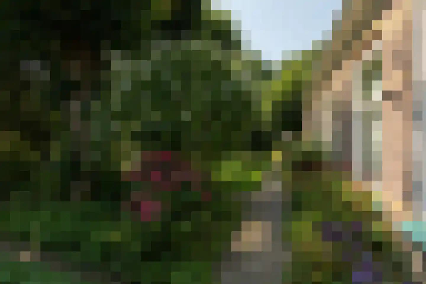 Molenbuurt 4 Koudum thumbnail 67