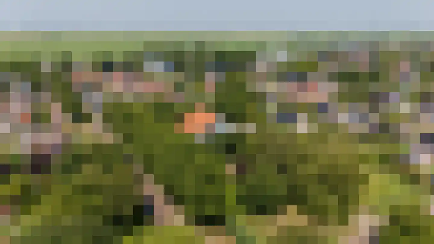 Molenbuurt 4 Koudum thumbnail 7